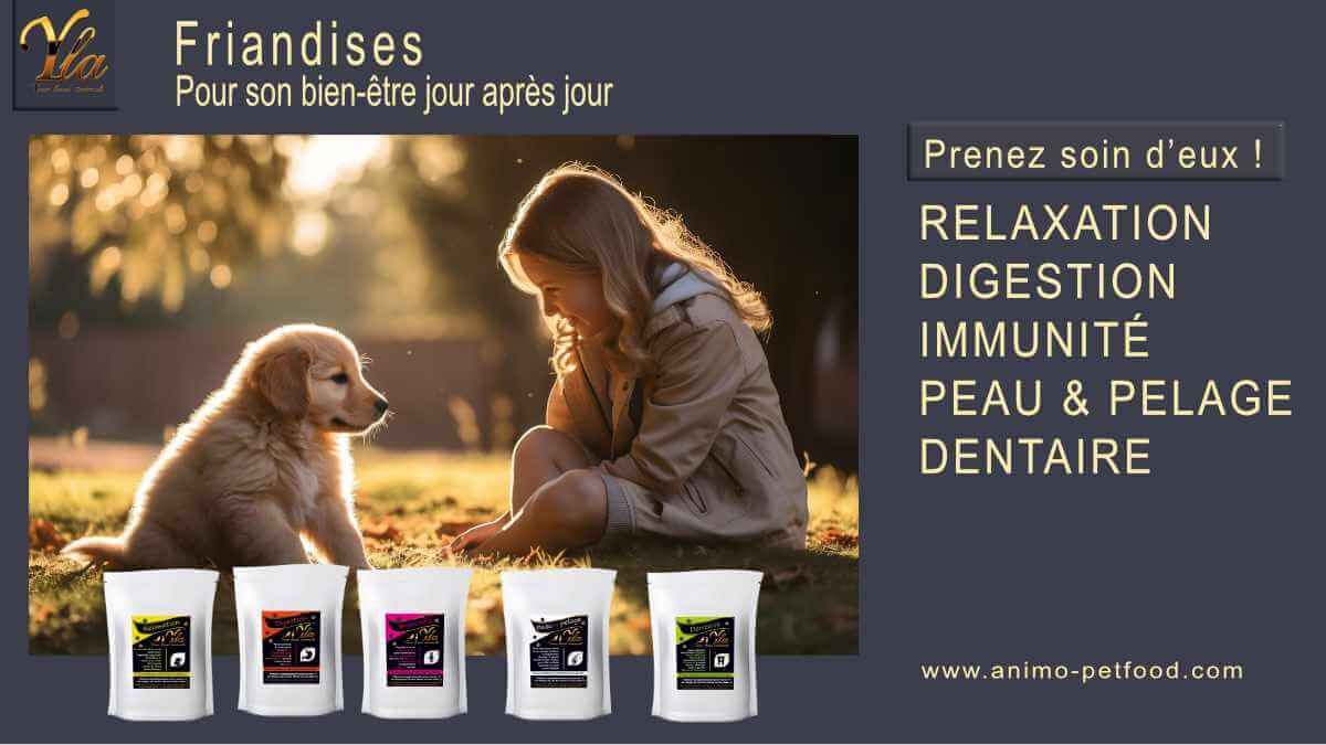 chien-friandises-speciales-bien-etre-quotidien